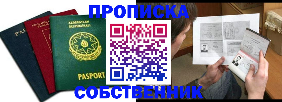 прописка законно в Борзе